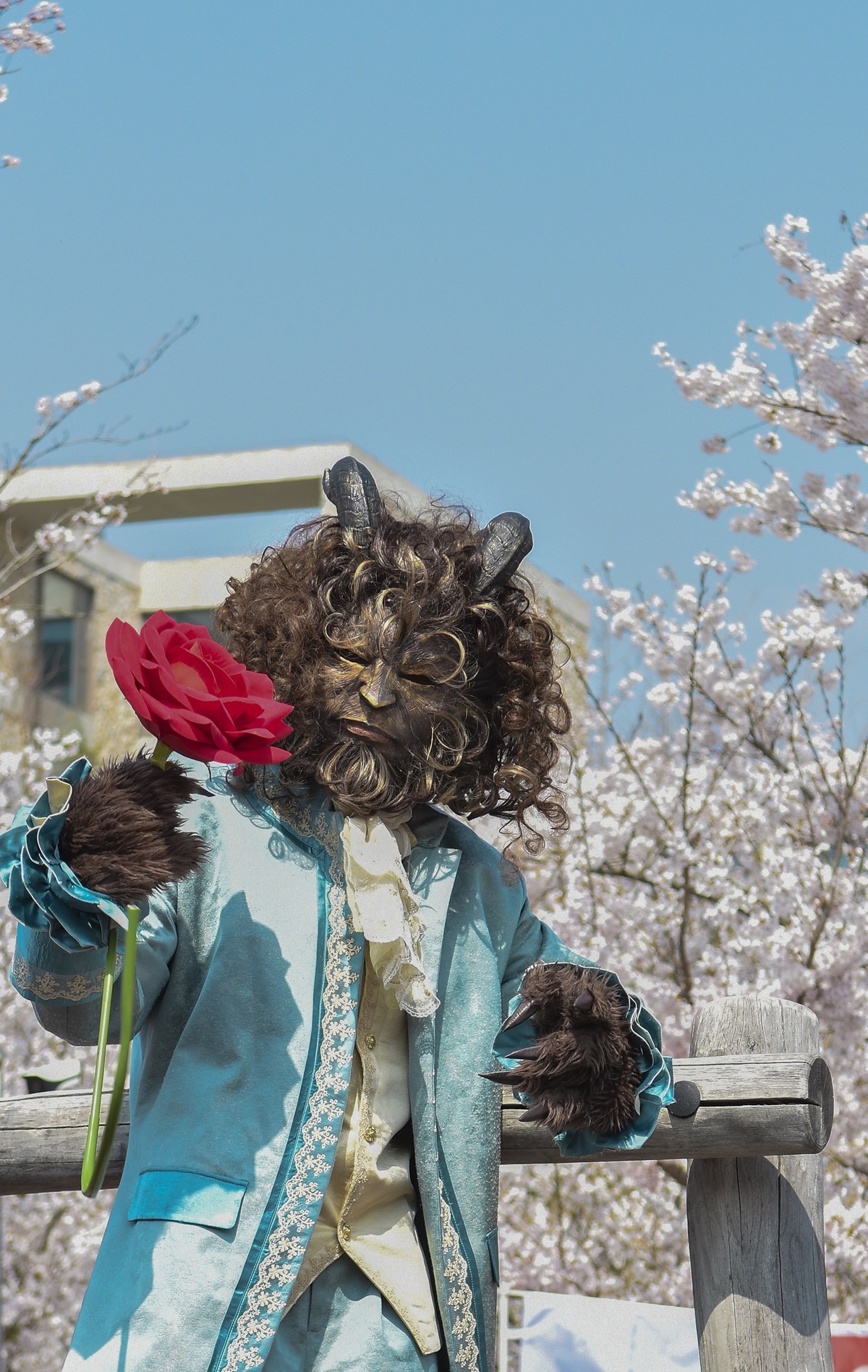 醉美人间四月天