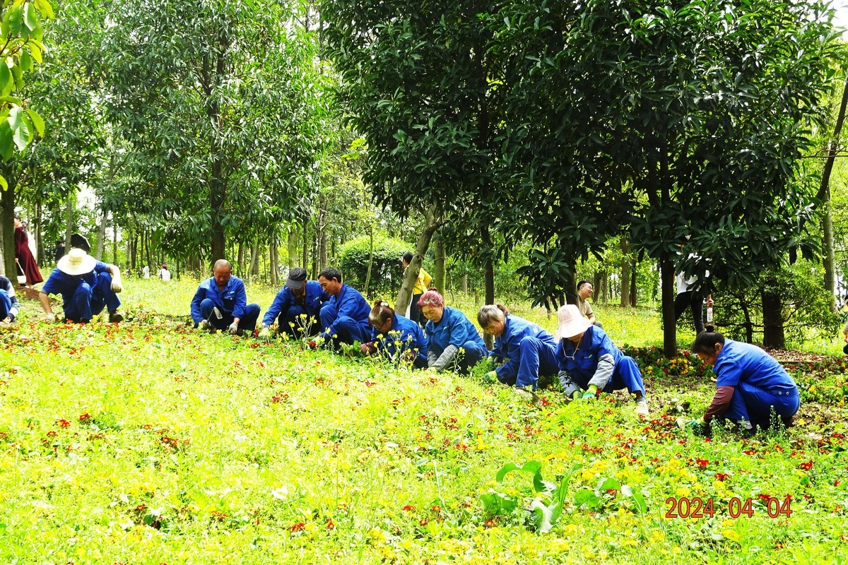 植物园辛勤地园丁