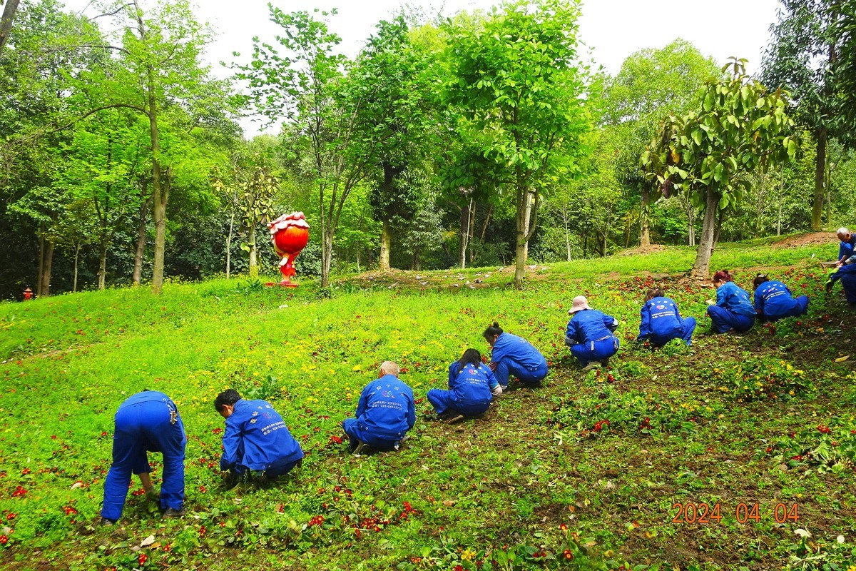 植物园辛勤地园丁