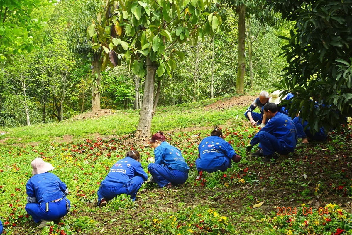 植物园辛勤地园丁