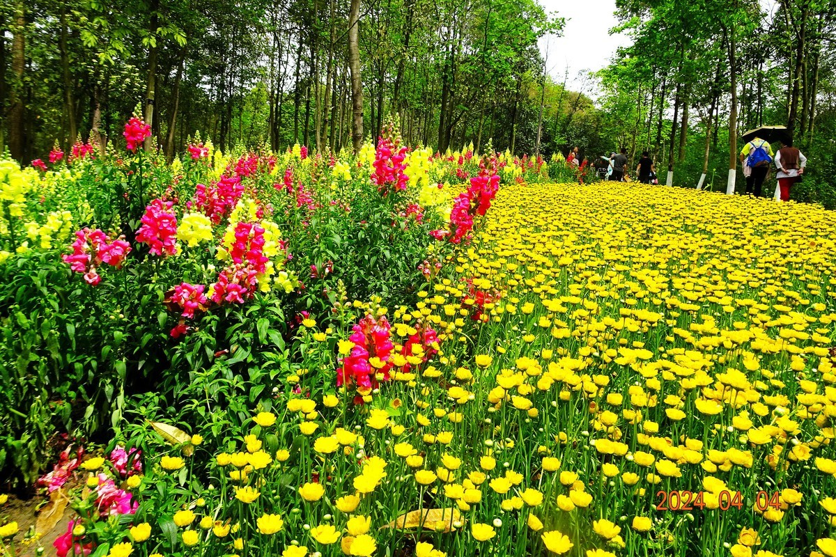 植物园辛勤地园丁