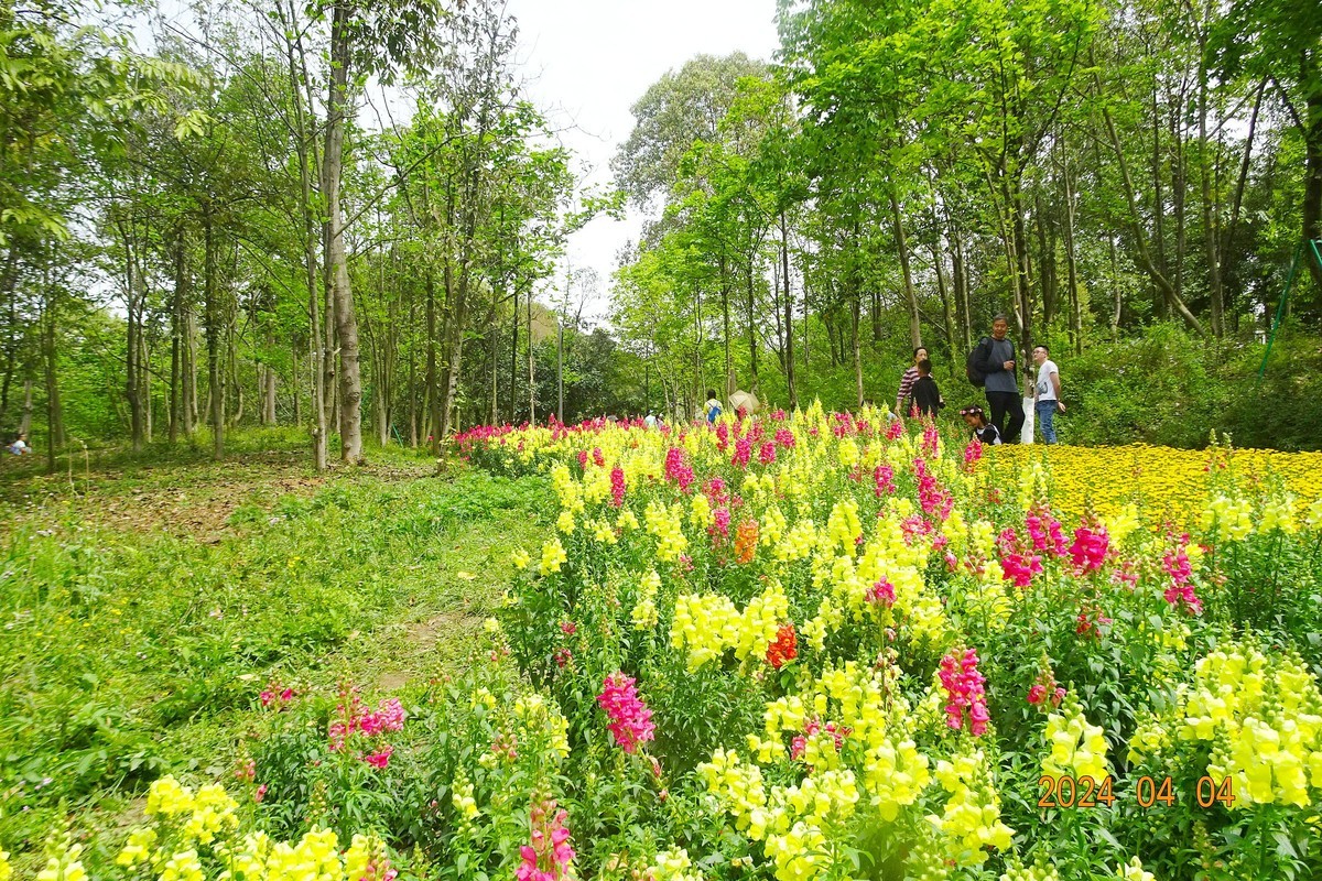 植物园辛勤地园丁