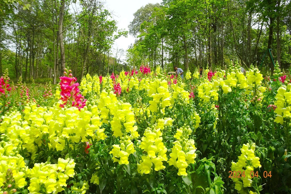 植物园辛勤地园丁