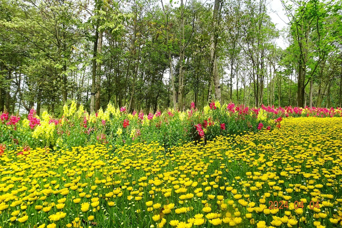 植物园辛勤地园丁