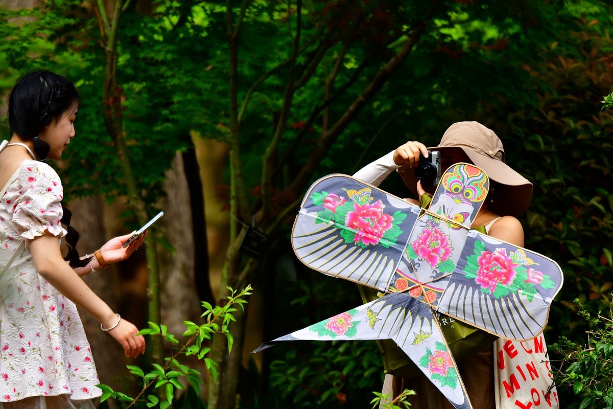 草长莺飞 美女风筝