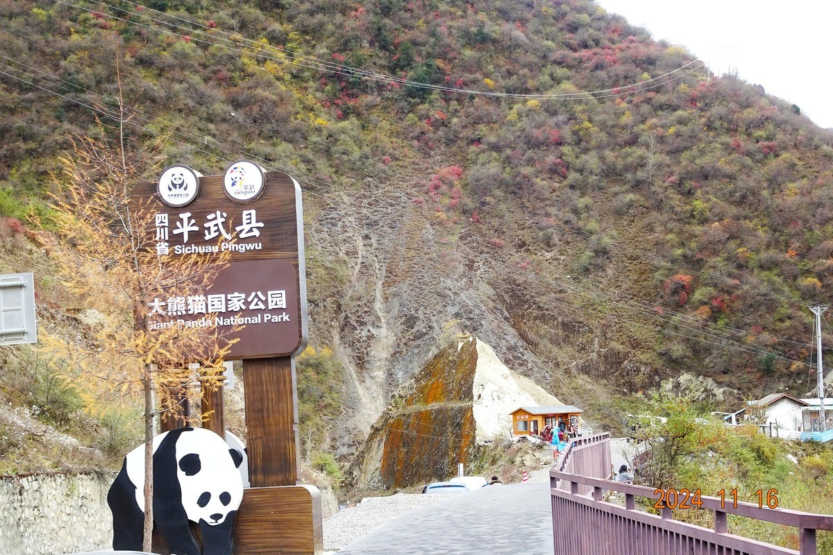 大熊猫国家公园扫描