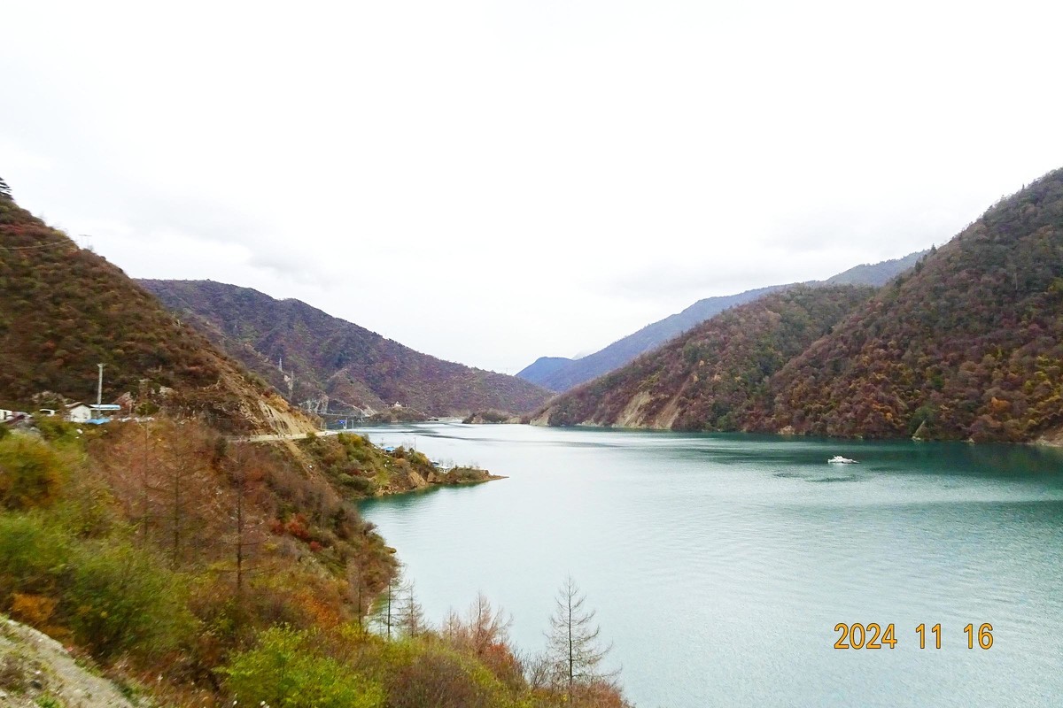 大熊猫国家公园扫描