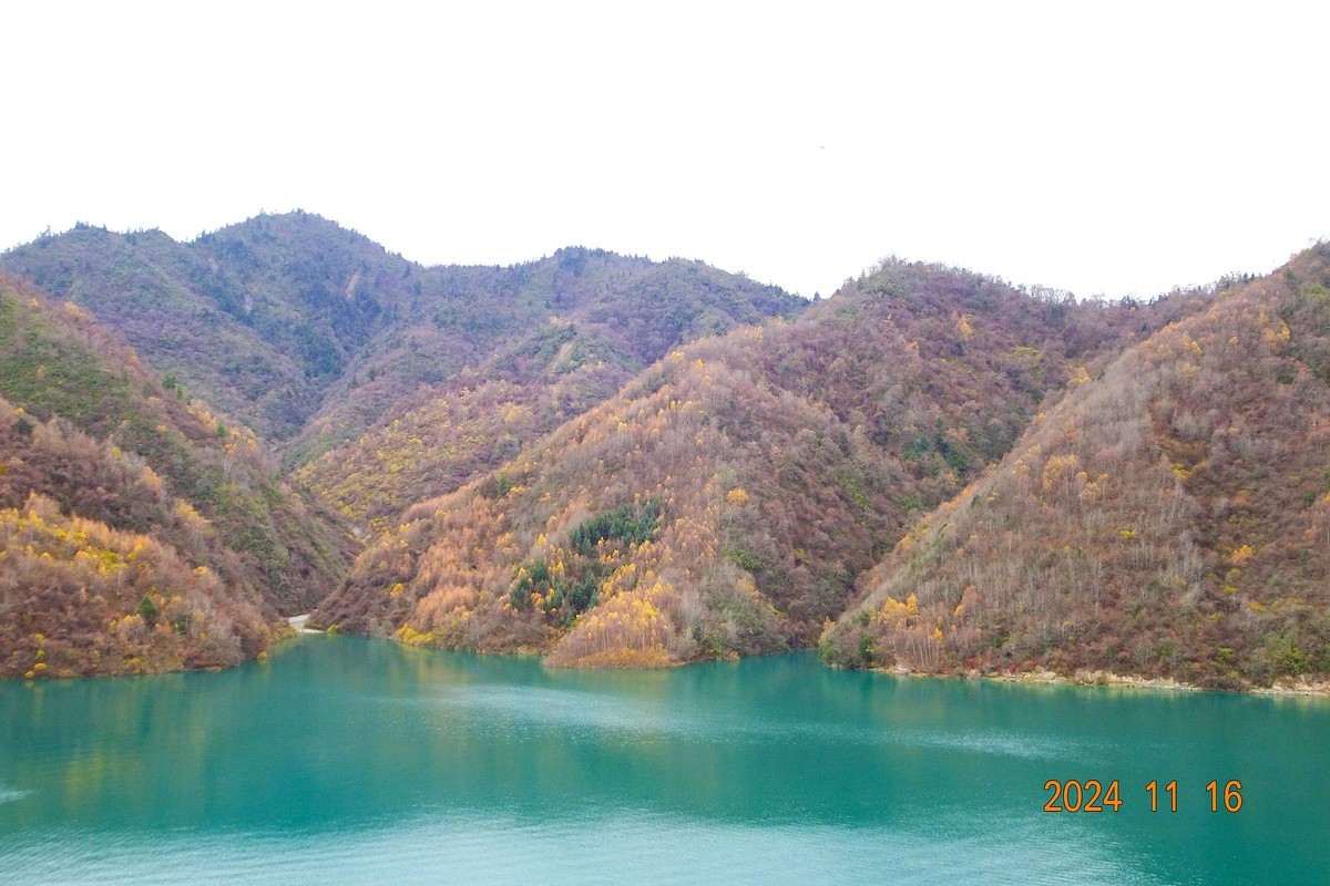 大熊猫国家公园扫描