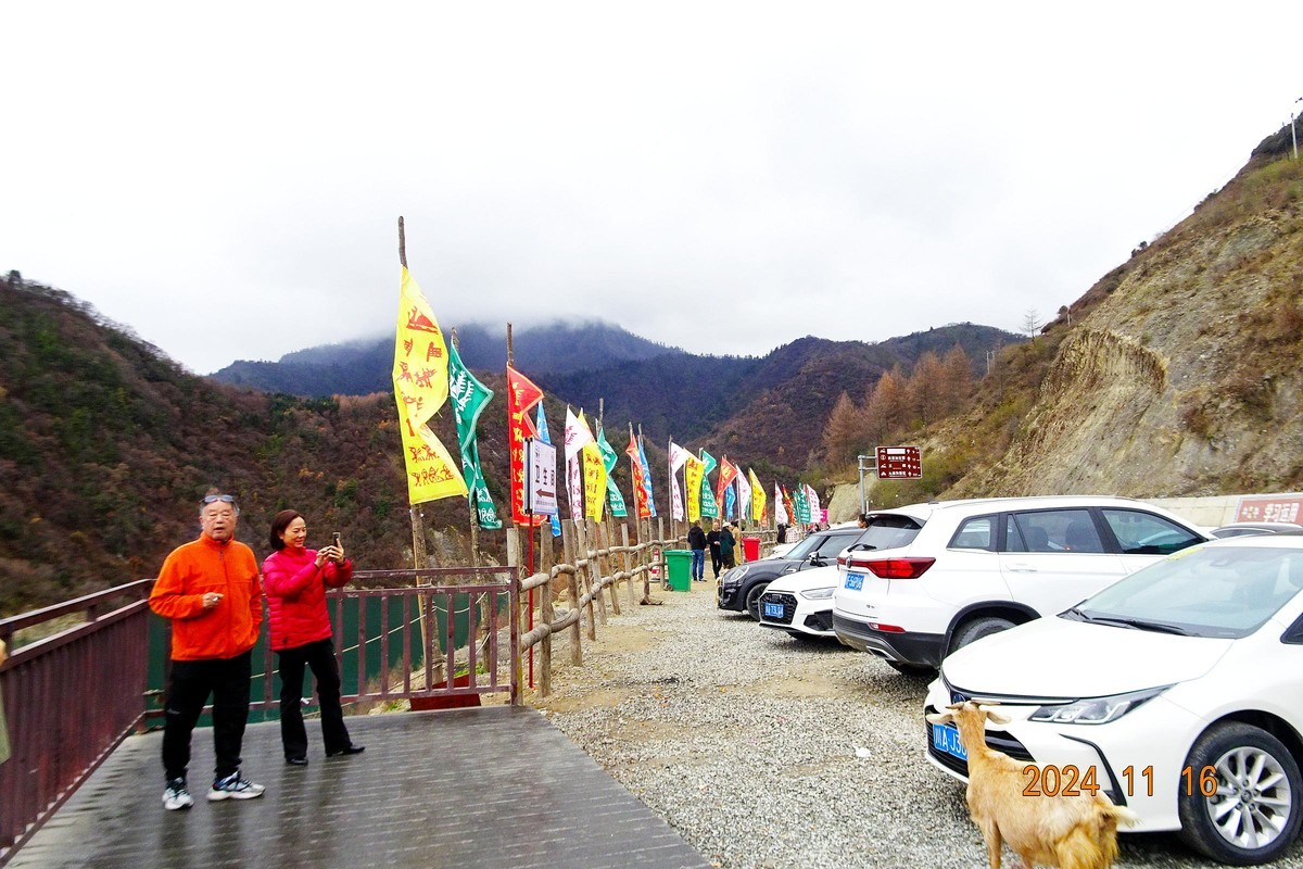 大熊猫国家公园扫描