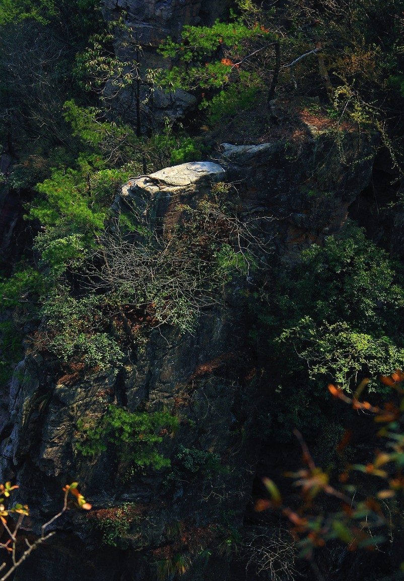 端午节一贴抓拍扫街《古城，花草和美女》片！祝大家节日安康快乐！