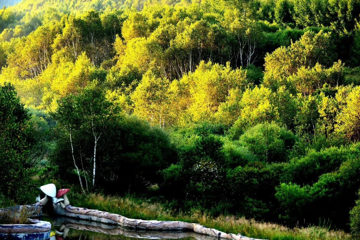 来坝上七彩森林赏五彩缤纷的秋