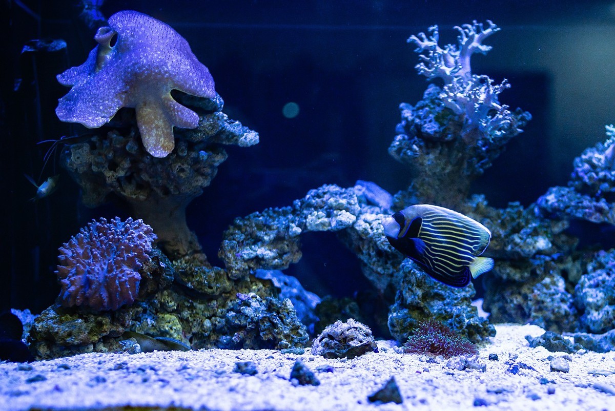 Lecia M240P+35mm/1.2VM ( 试机镜随拍 )