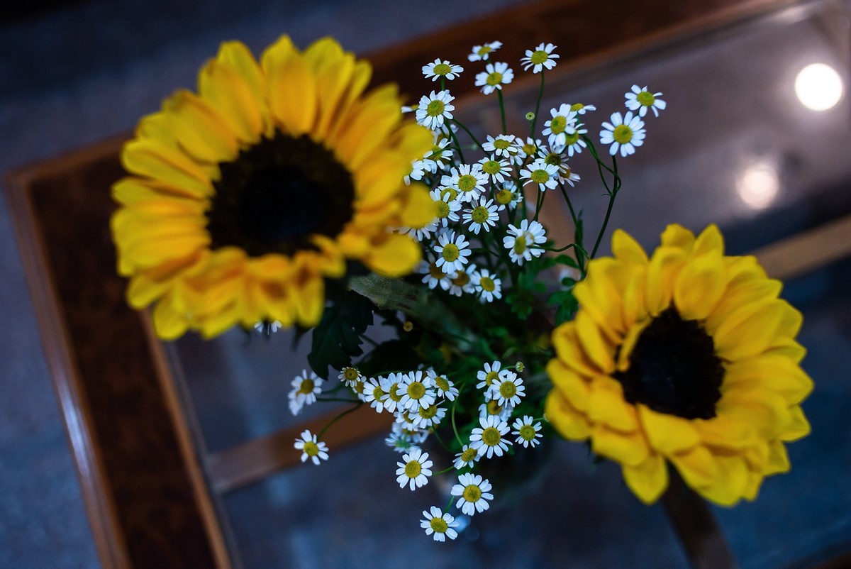 Lecia M240P+35mm/1.2VM ( 试机镜随拍 )