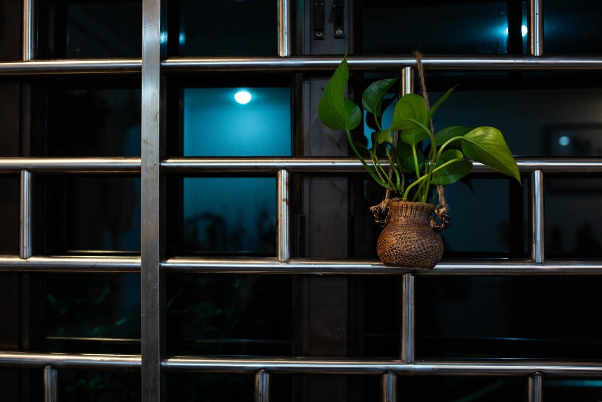 Lecia M240P+35mm/1.2VM ( 试机镜随拍 )