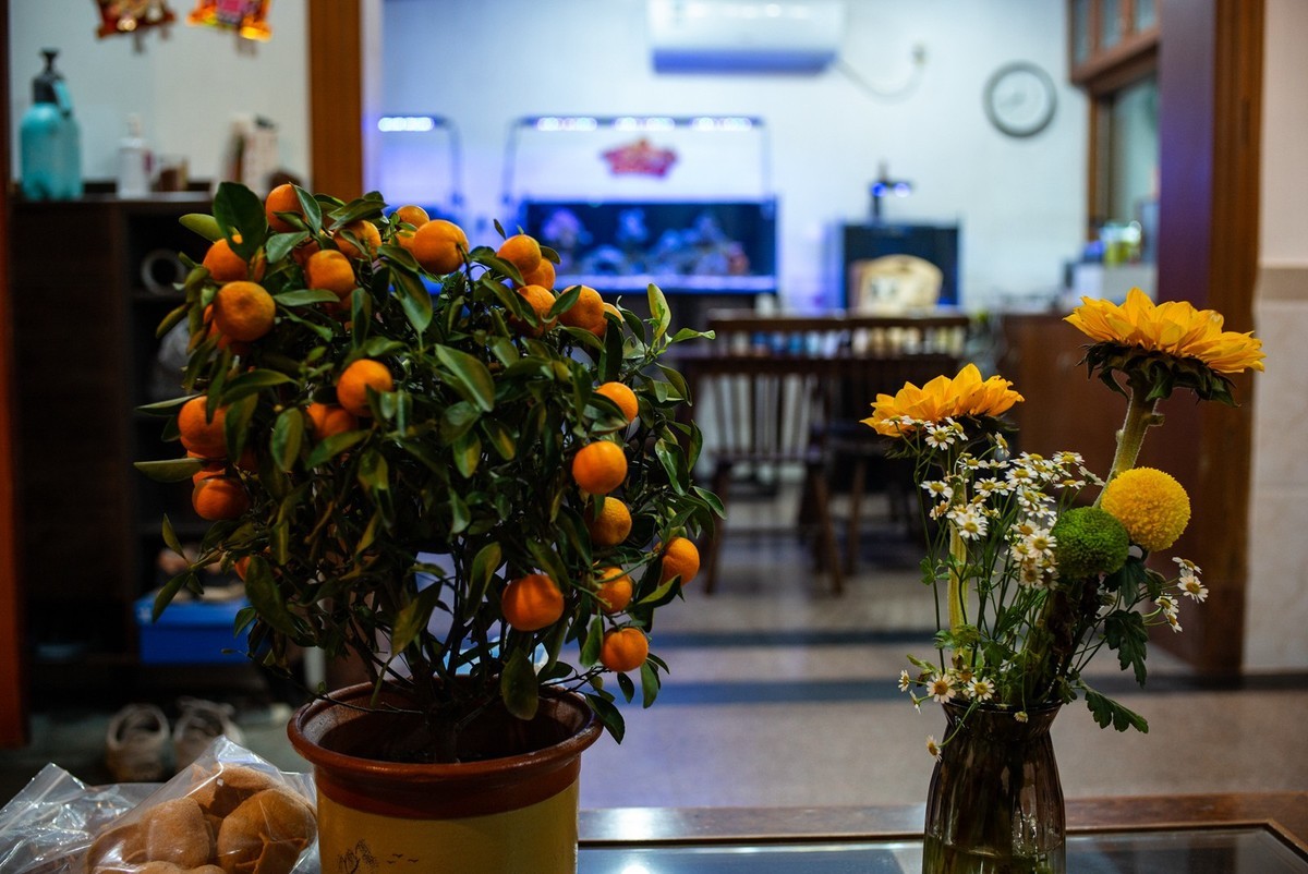 Lecia M240P+35mm/1.2VM ( 试机镜随拍 )