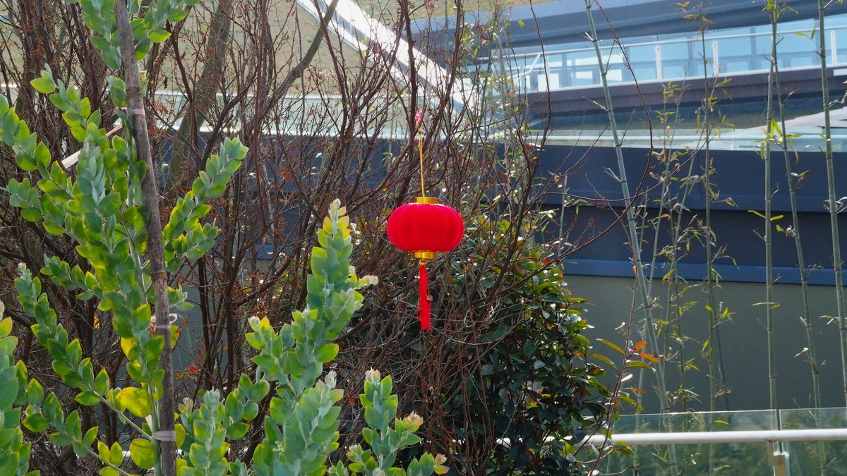 一镜走天下之——随手拍拍