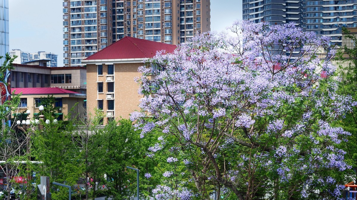 一镜走天下之——随手拍拍