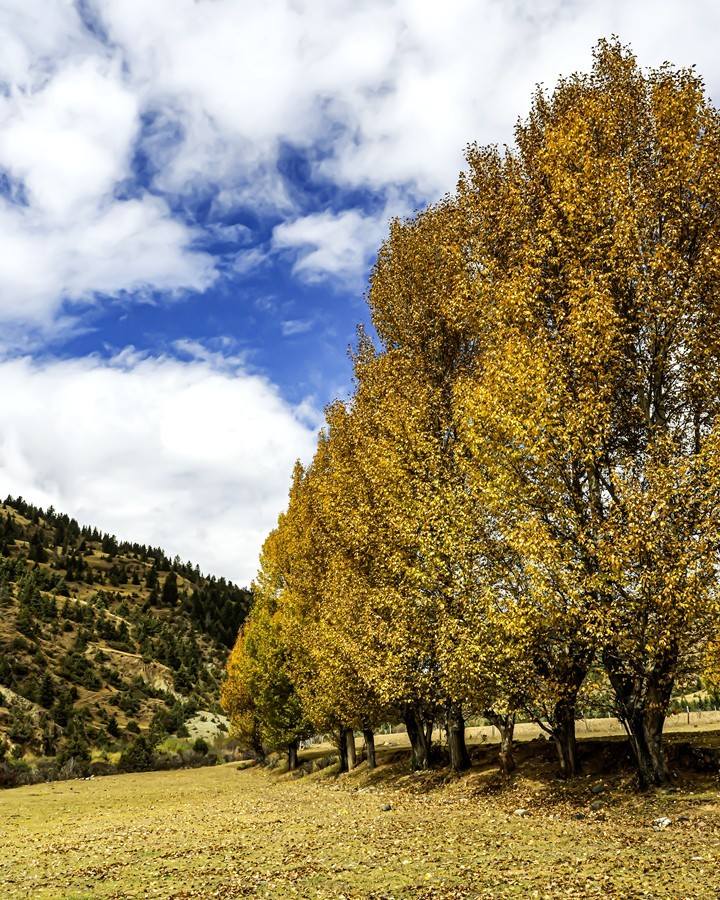 行走在国道318【2】