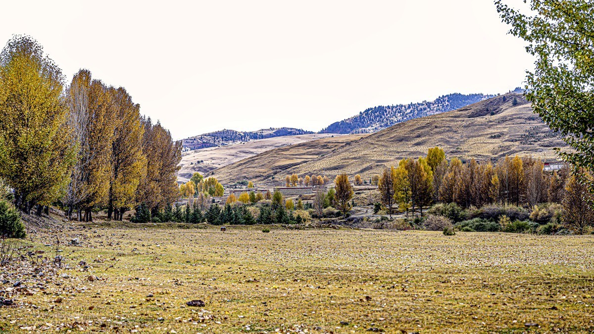 行走在国道318【2】