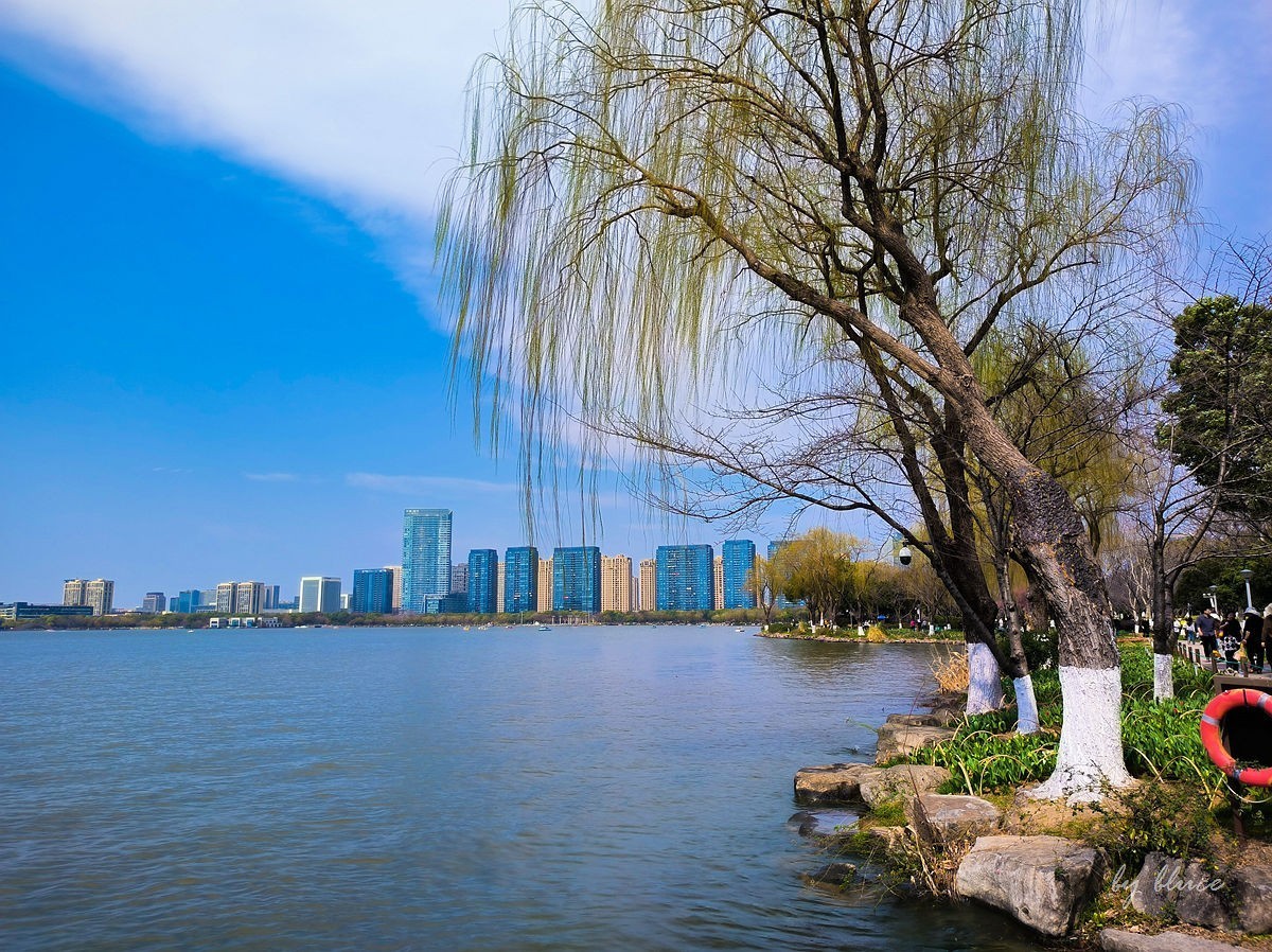 春意盎然（续2）