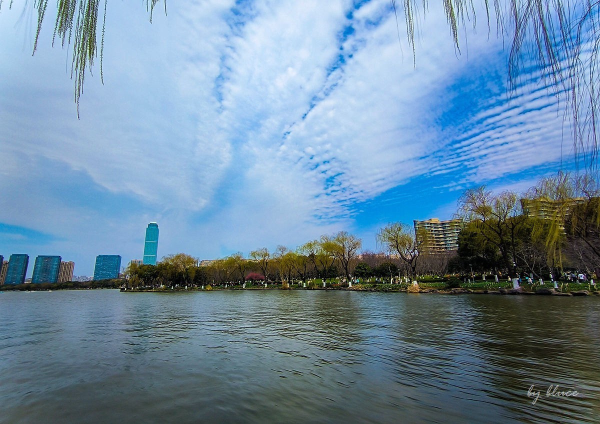 春意盎然（续2）