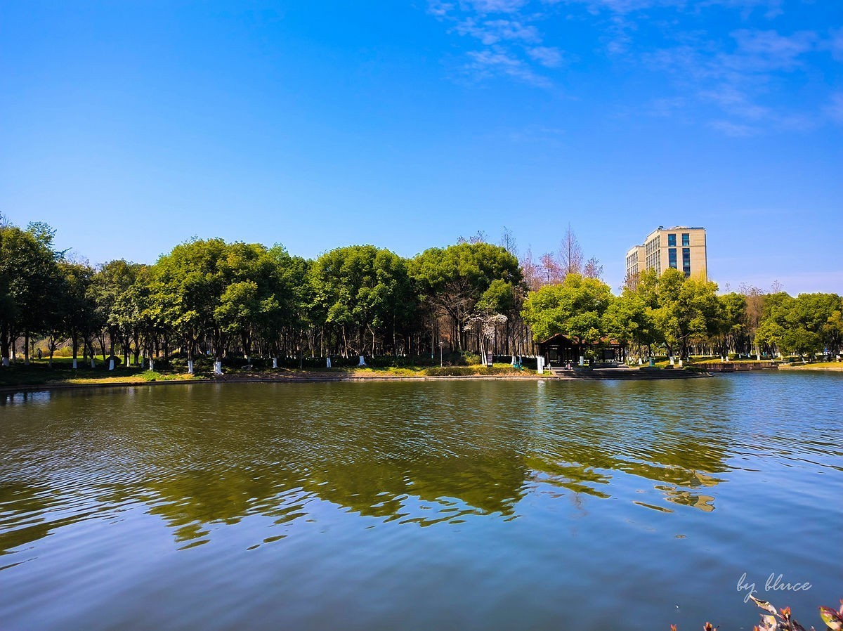 春意盎然（续2）