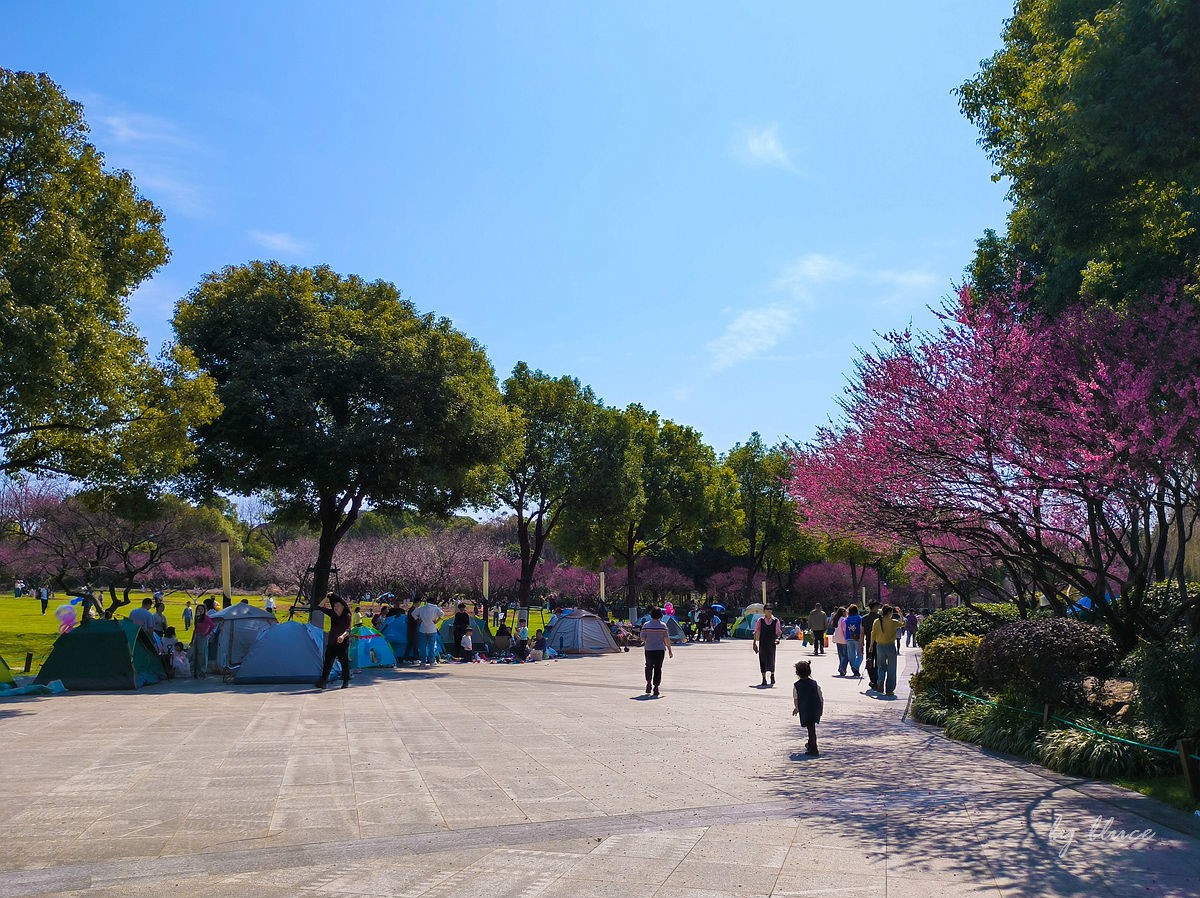 春意盎然（续2）