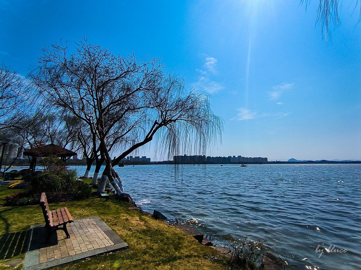 春意盎然（续2）