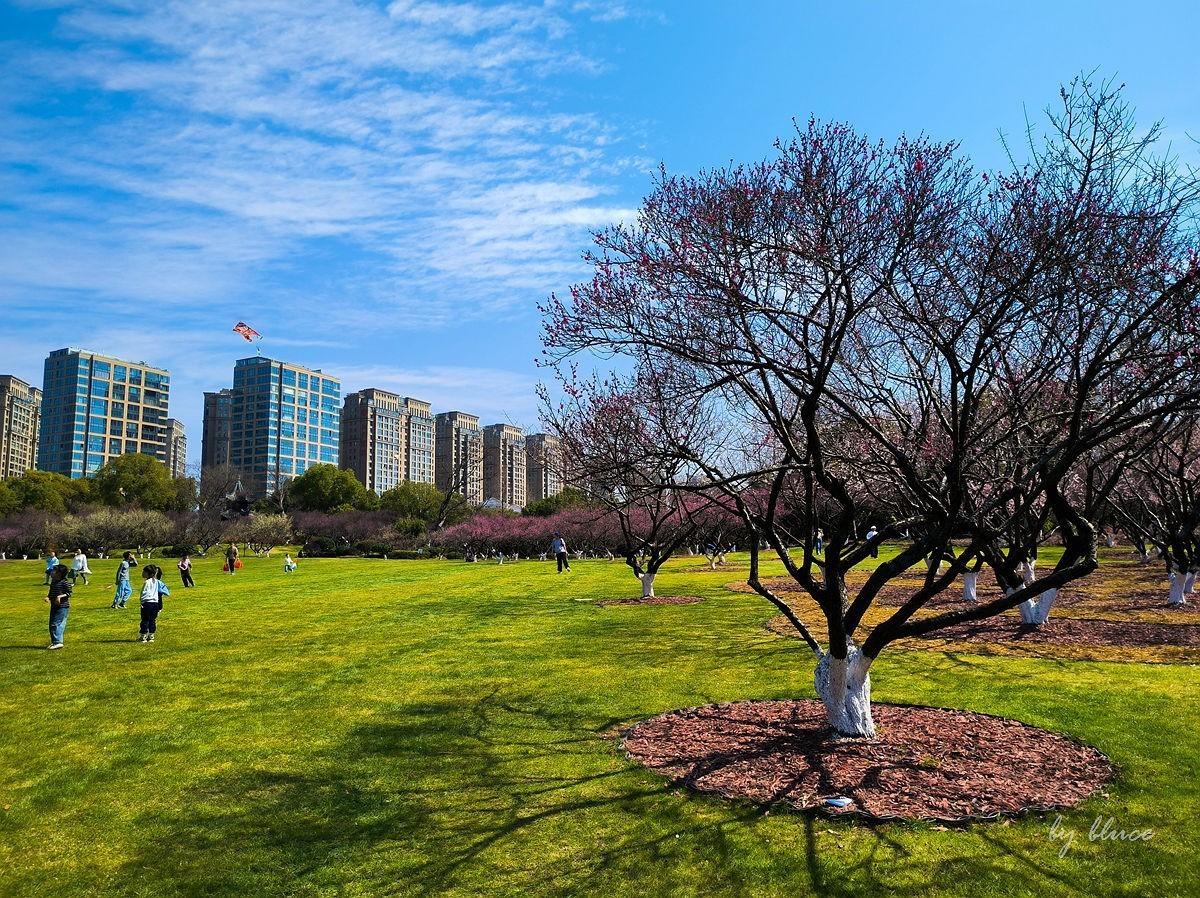 春意盎然（续2）