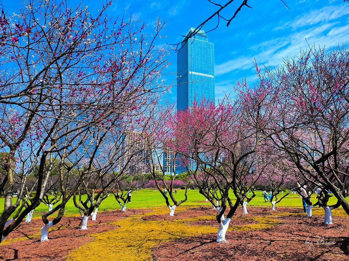 春意盎然（续2）