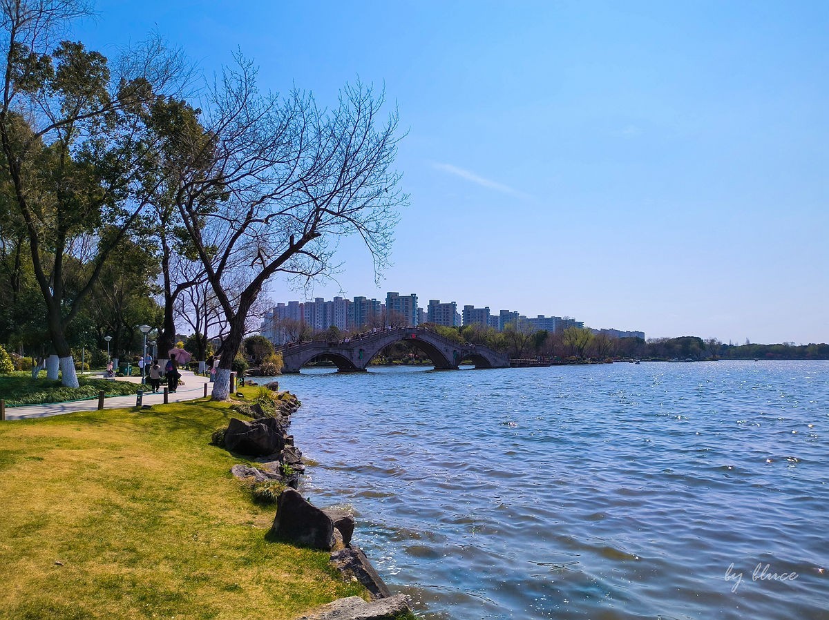 春意盎然（续2）