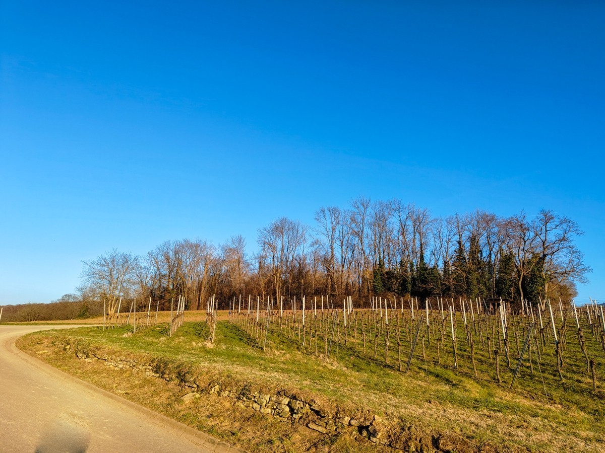 南德春晓之--“罗马山”摄