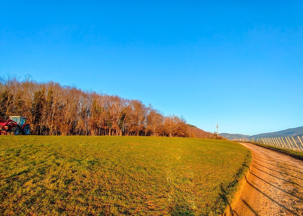 南德春晓之--“罗马山”摄