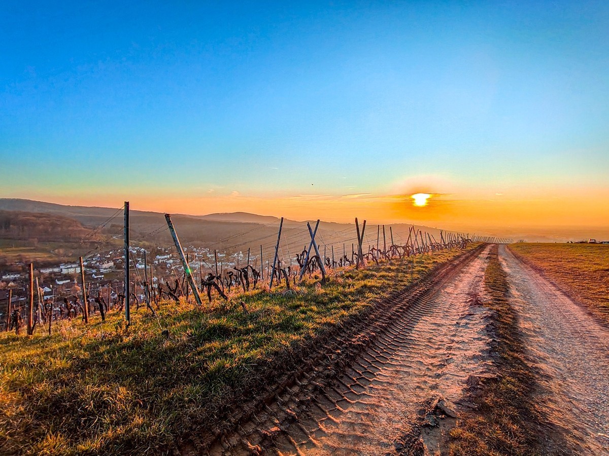 南德春晓之--“罗马山”摄