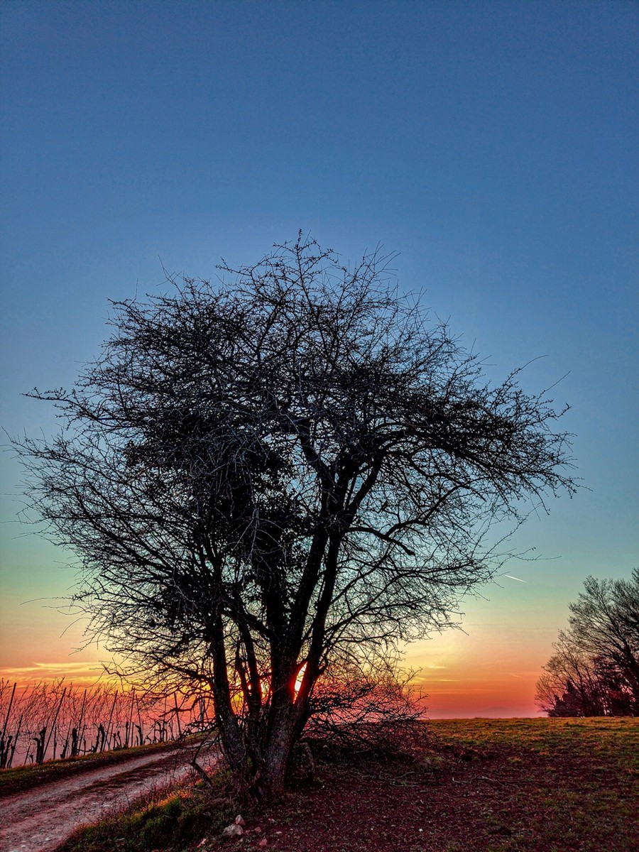 南德春晓之--“罗马山”摄