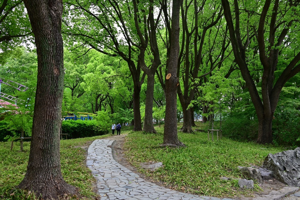 世纪公园随手拍