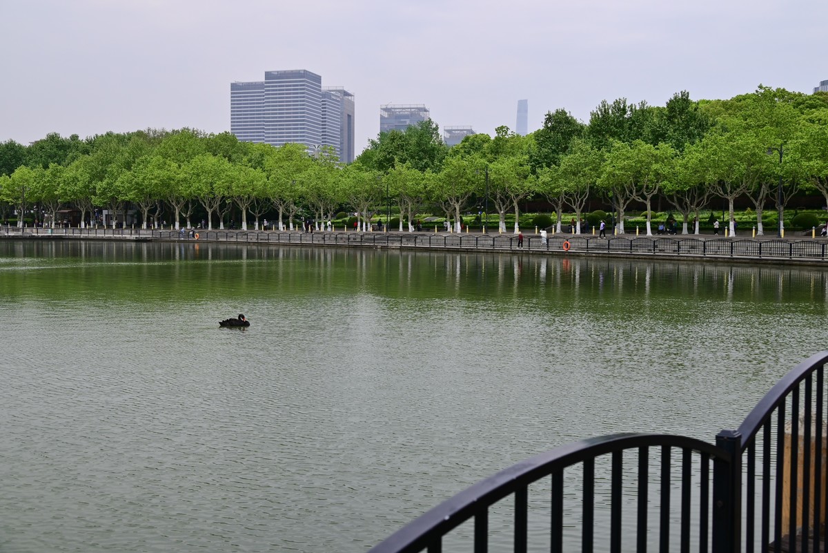 世纪公园随手拍