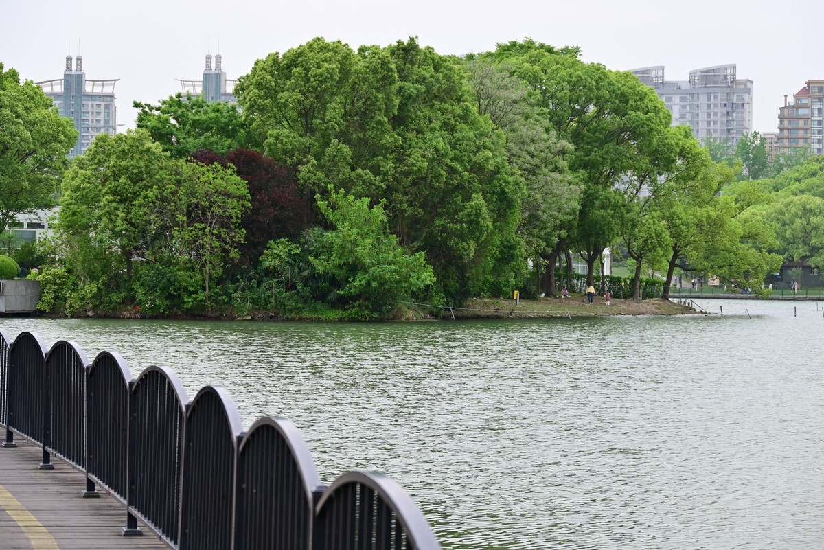 世纪公园随手拍