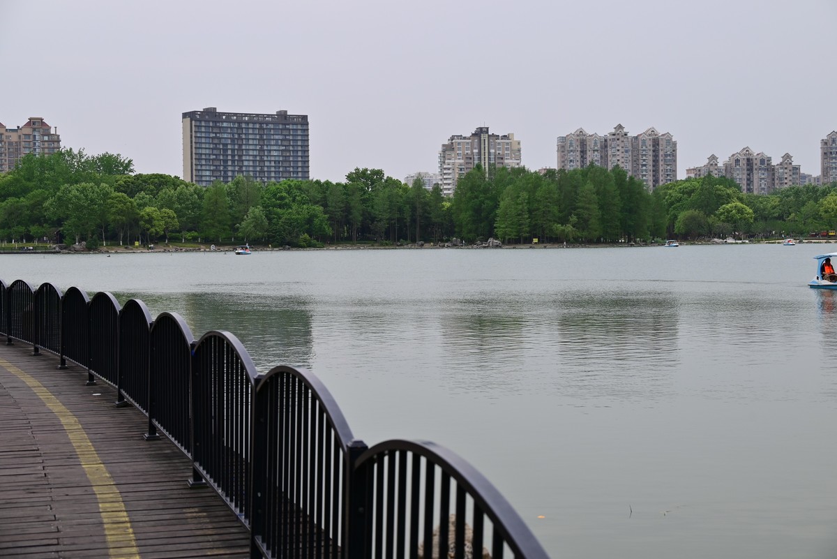 世纪公园随手拍