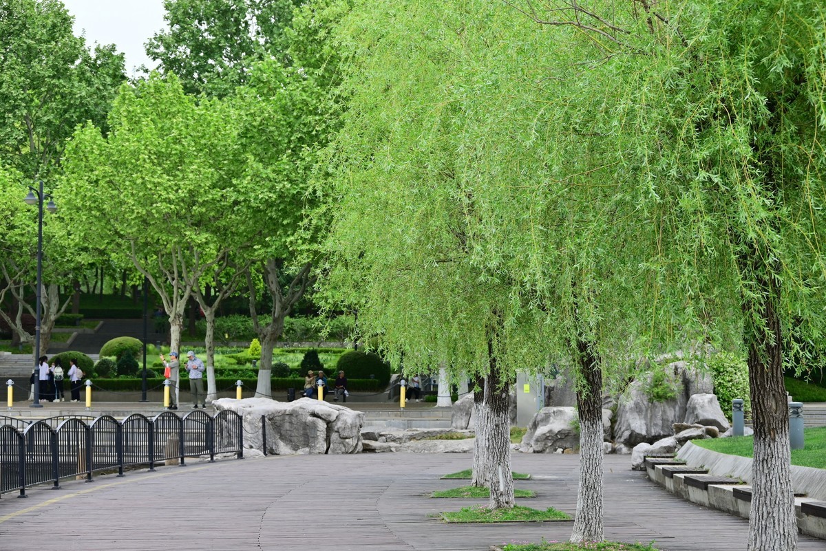 世纪公园随手拍