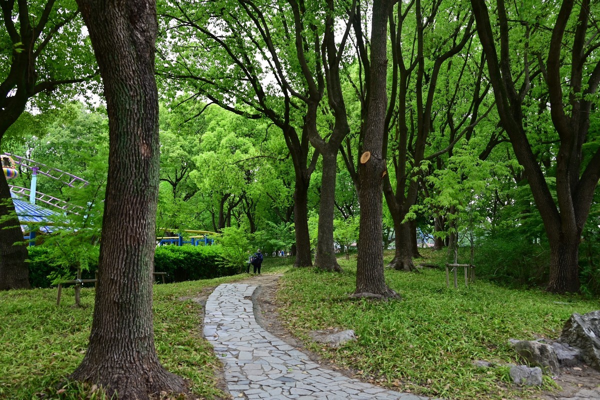 世纪公园随手拍