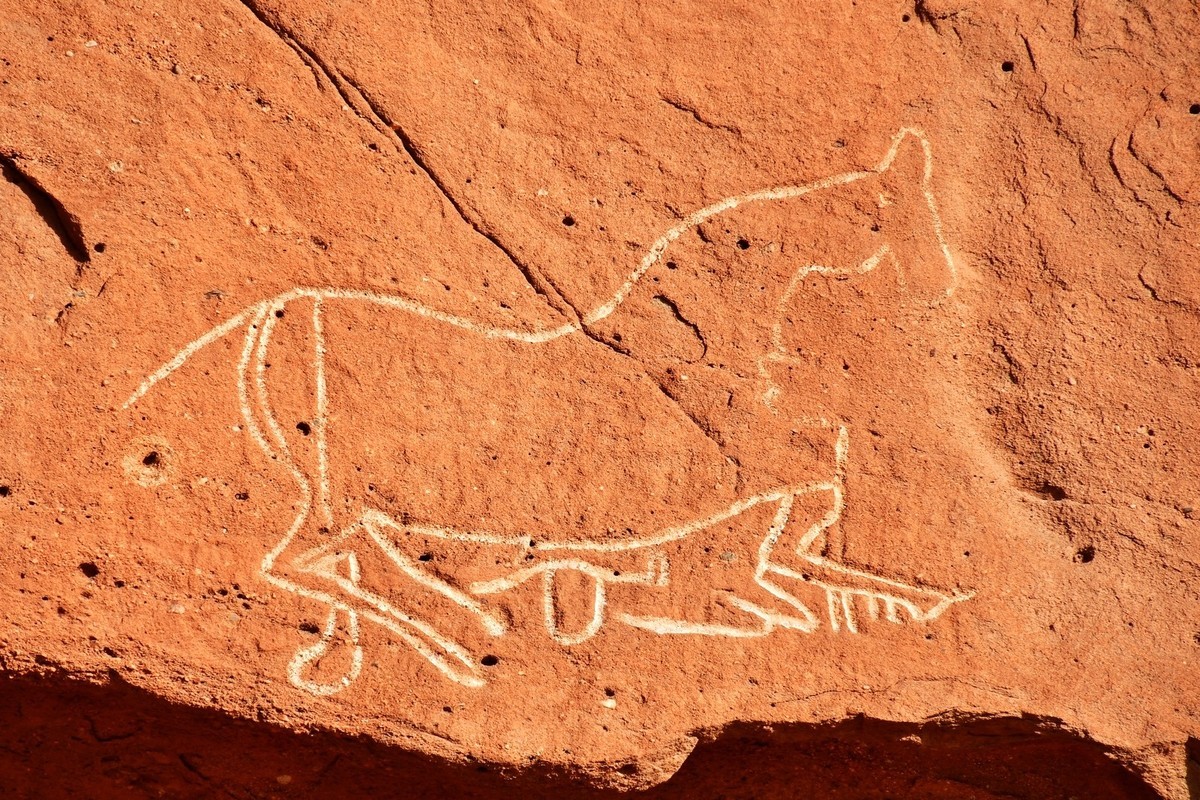 我只是把出去看到的随手记录下来（163）