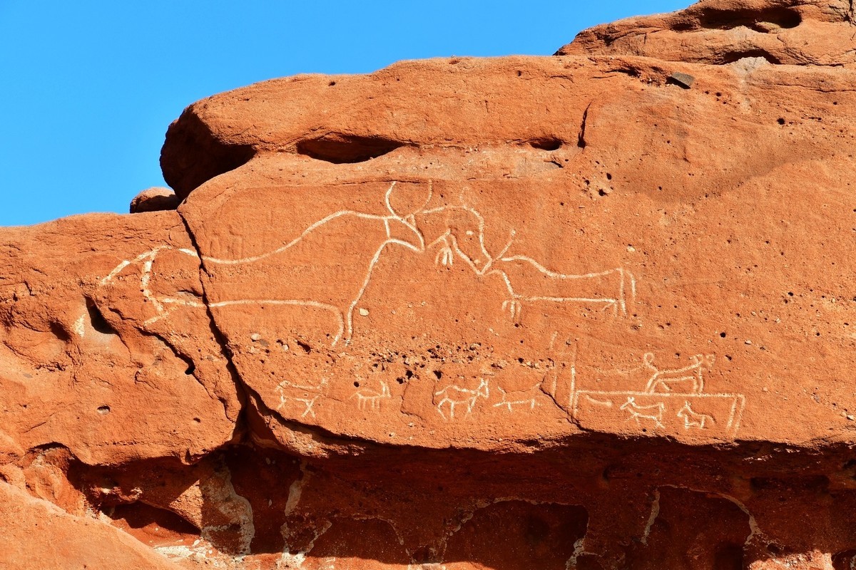 我只是把出去看到的随手记录下来（163）