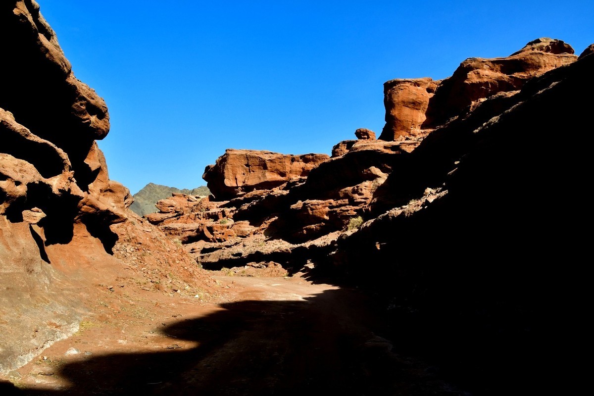 我只是把出去看到的随手记录下来（163）