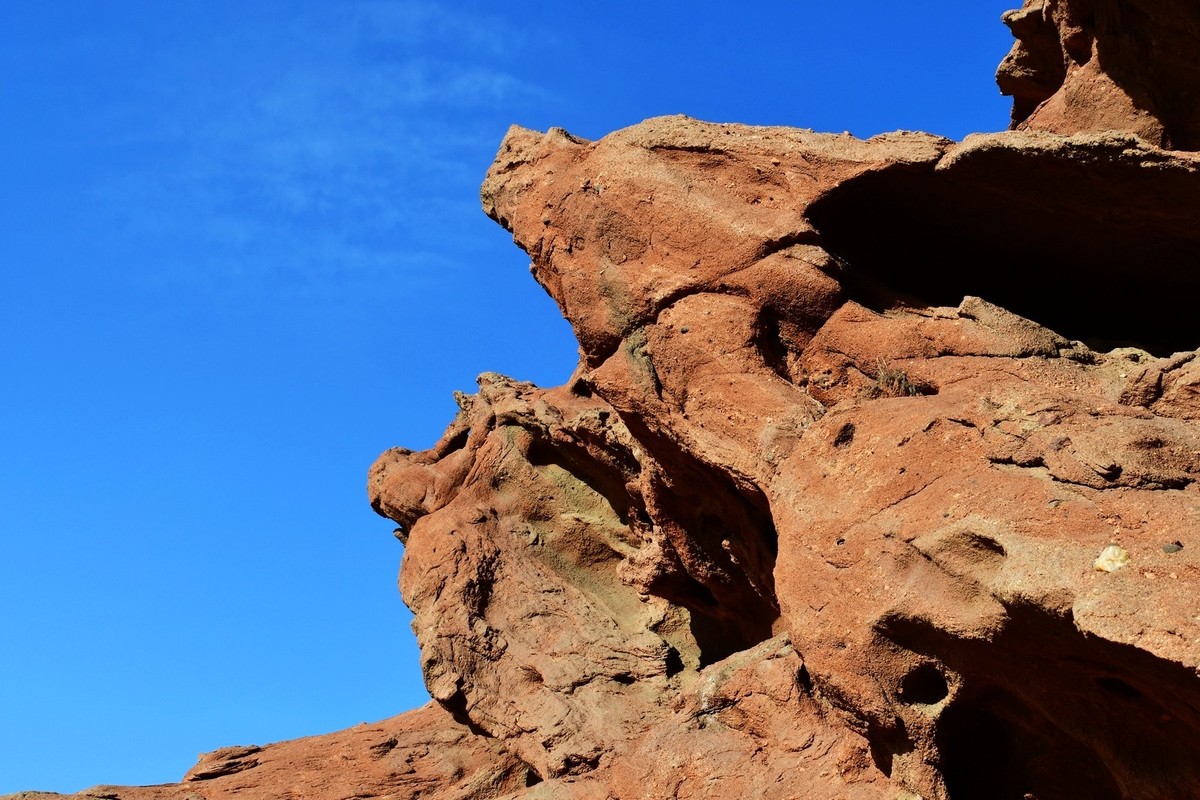 我只是把出去看到的随手记录下来（163）