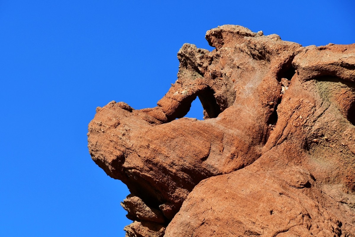 我只是把出去看到的随手记录下来（163）