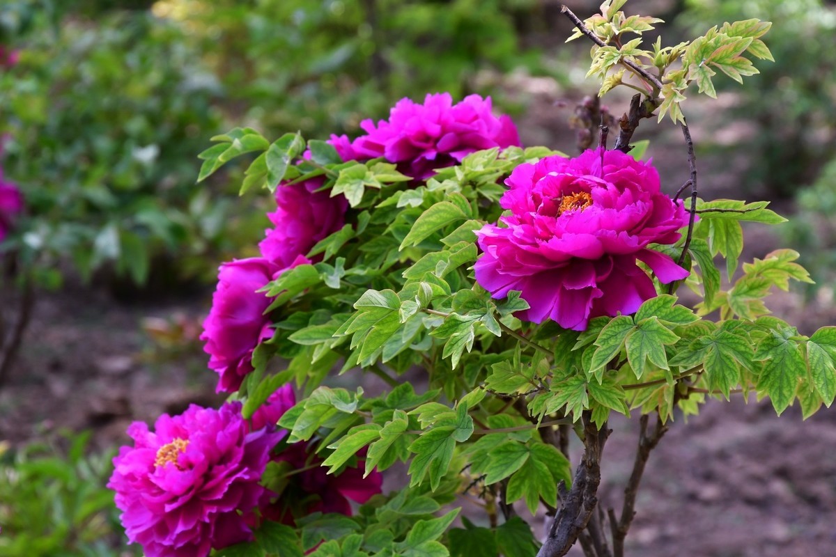 我只是把出去看到的随手记录下来（164）