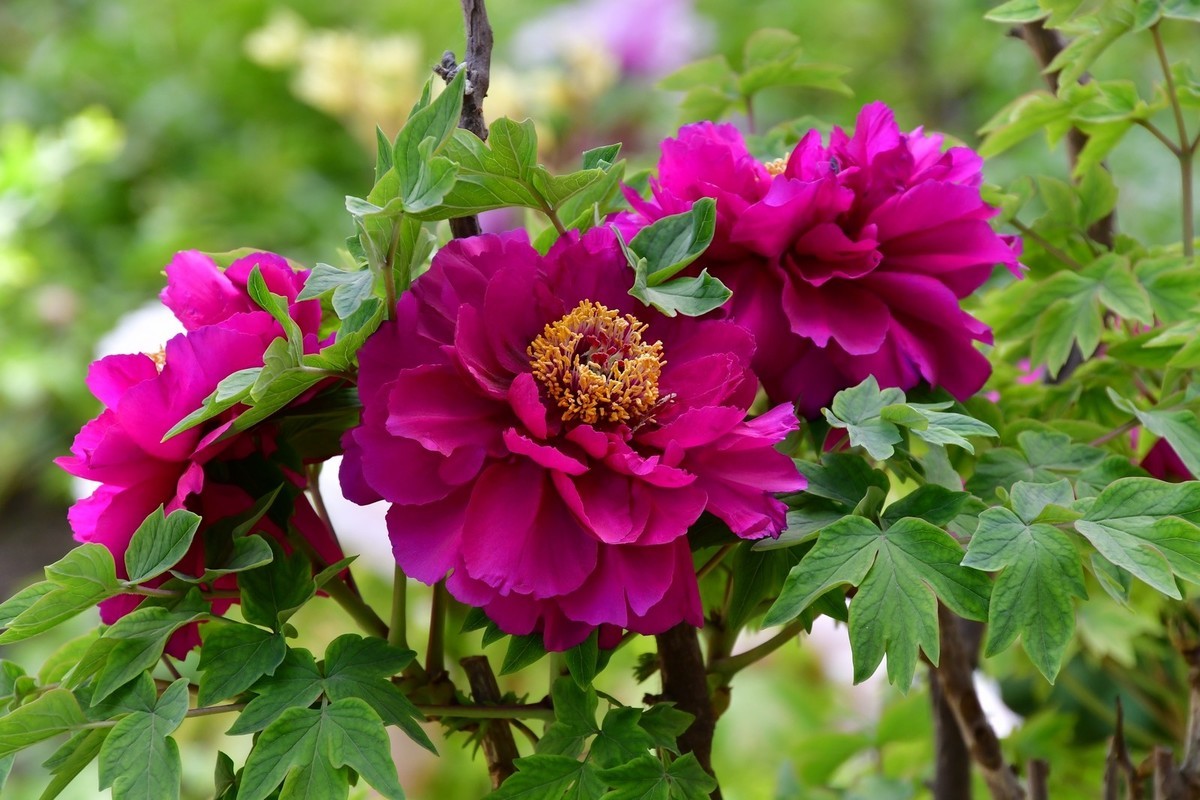 我只是把出去看到的随手记录下来（164）