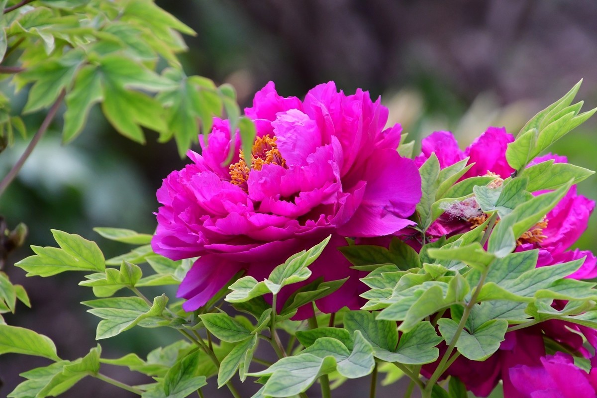 我只是把出去看到的随手记录下来（164）