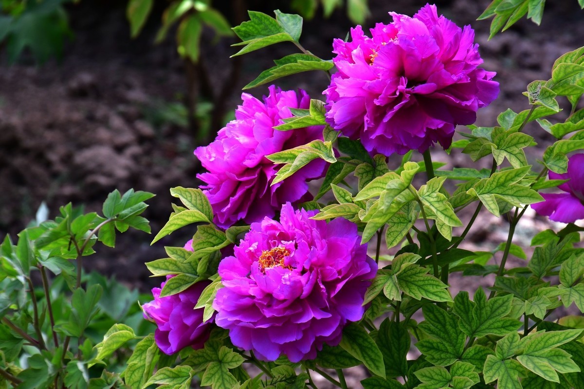 我只是把出去看到的随手记录下来（164）